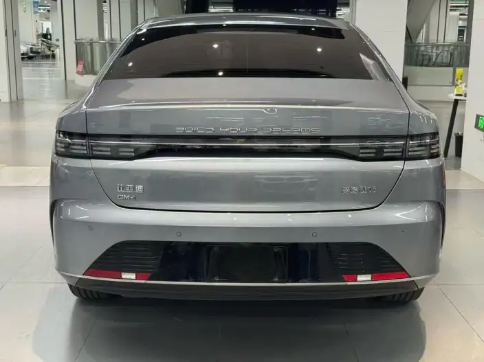 BYD Destroyer 05 2024 Model Honor Edition DM-i 55KM Luxury Model – фото 5