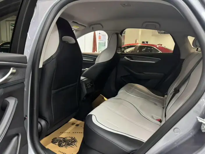BYD Destroyer 05 2024 Model Honor Edition DM-i 55KM Luxury Model – фото 9