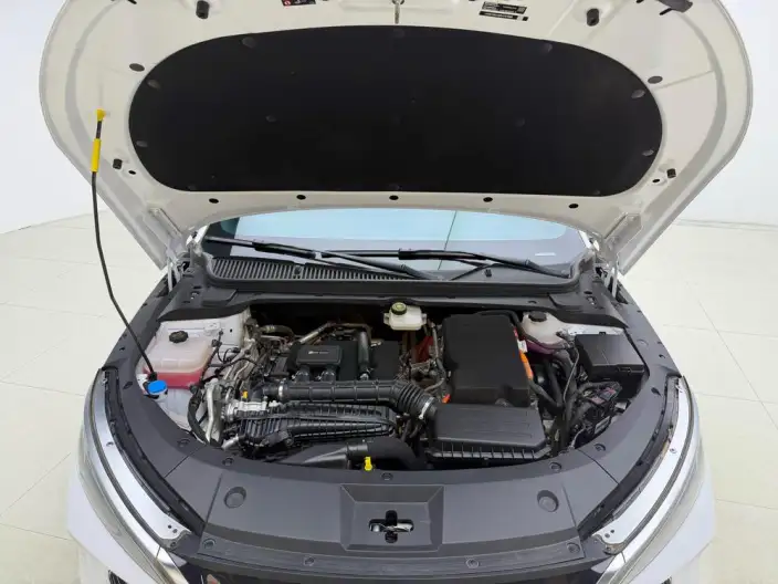 QinL DM 2024 Model DM-i 120KM Leading Model – фото 10