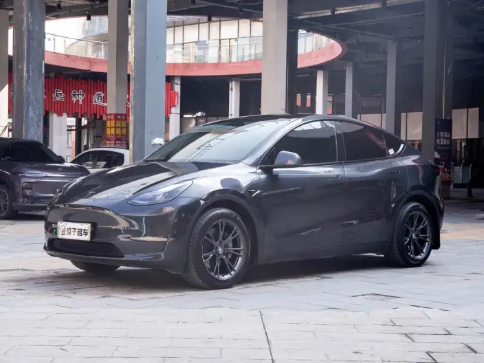 Model Y 2024 Model Long Battery Life Pro All-wheel drive version – фото 1