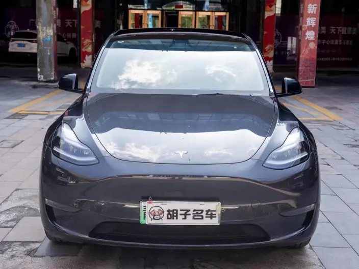 Model Y 2024 Model Long Battery Life Pro All-wheel drive version – фото 2