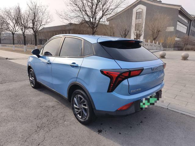 Neta V 2021 Standard Range Industry Customized – фото 4