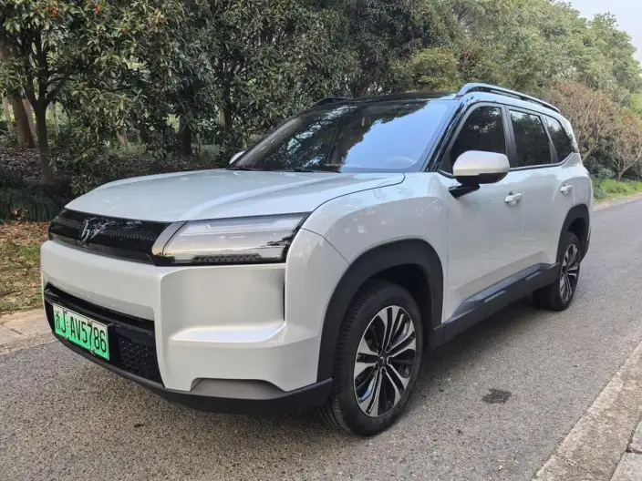 Xingguang 560 EV 2026 Model 500km Luxury Model