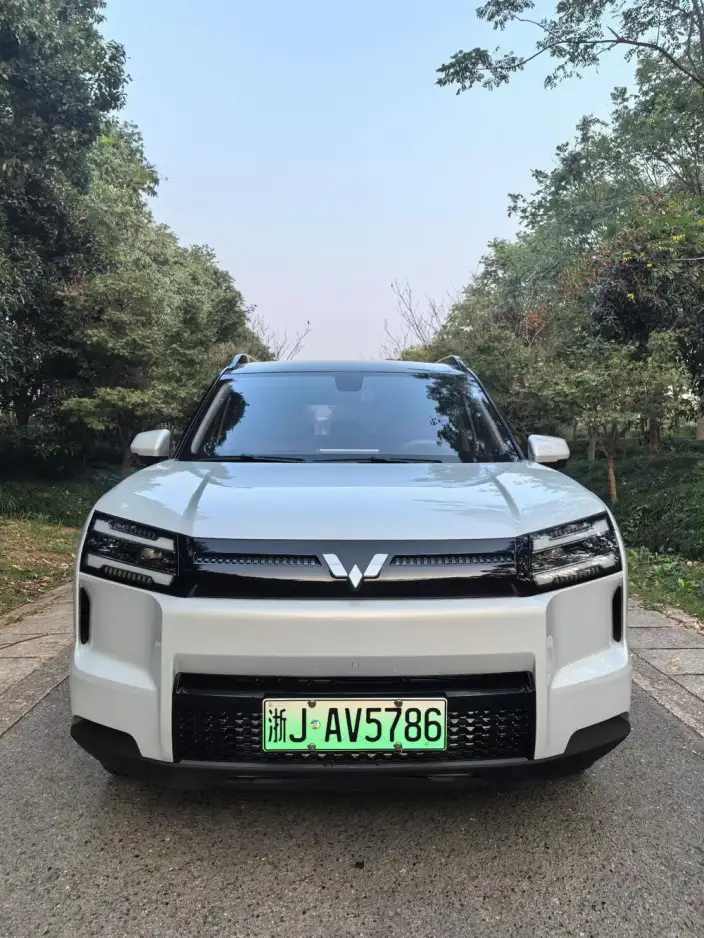 Xingguang 560 EV 2026 Model 500km Luxury Model