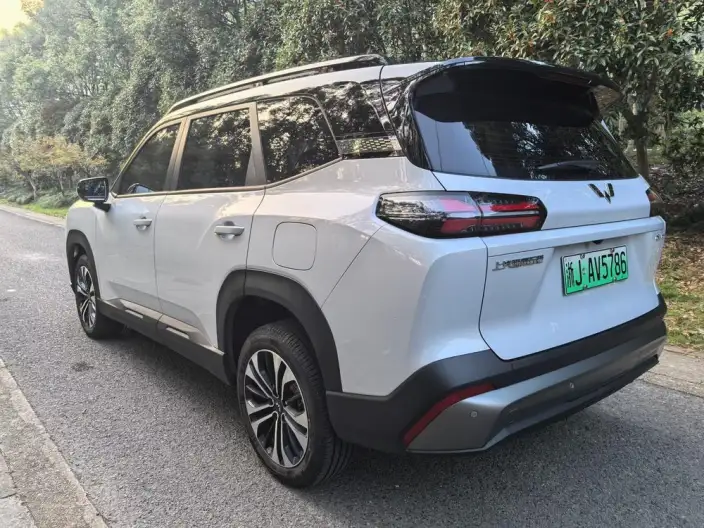 Xingguang 560 EV 2026 Model 500km Luxury Model