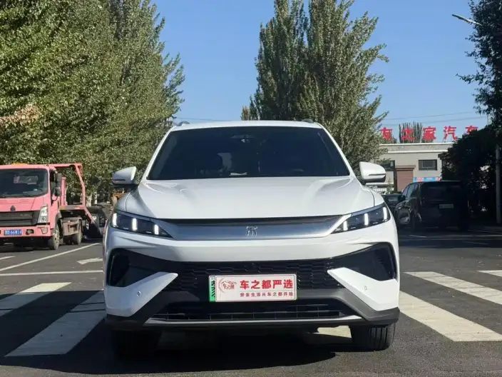 BYD Song Pro DM 2025 Model Second generation Smart Driving Edition DM-i 75KM Leading Model – фото 2