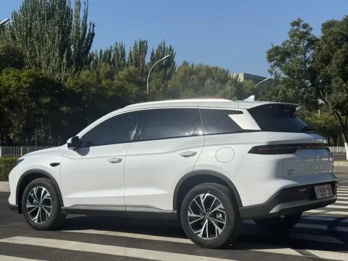 BYD Song Pro DM 2025 Model Second generation Smart Driving Edition DM-i 75KM Leading Model – фото 4