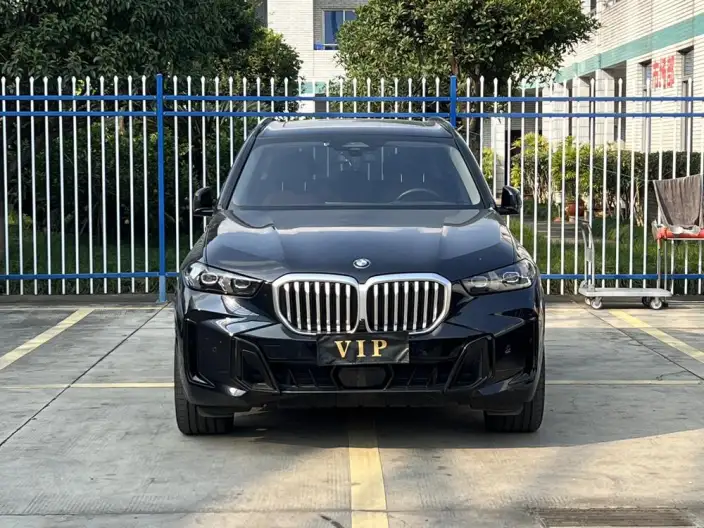 BMW X5 2023 Model xDrive30Li Exclusive Model M Sports Night Set – фото 2