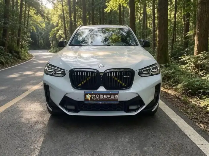 BMW X3 M 2022 Model X3 M Thunder Edition – фото 5