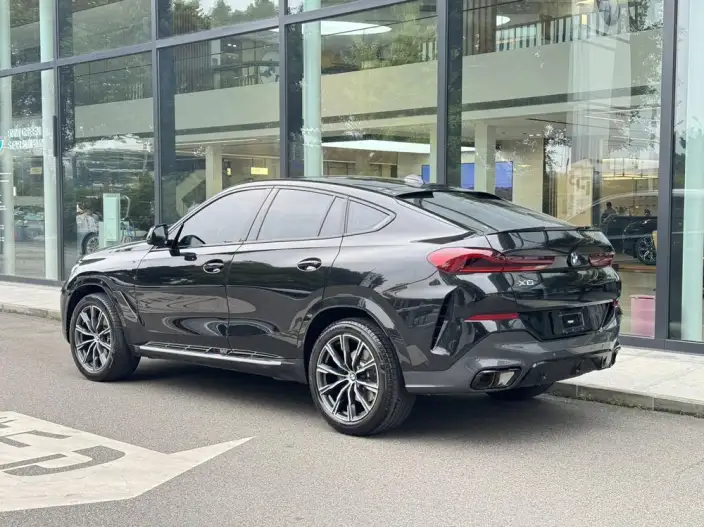 BMW X6 2022 Model Facelift xDrive30i M Sports Set – фото 4