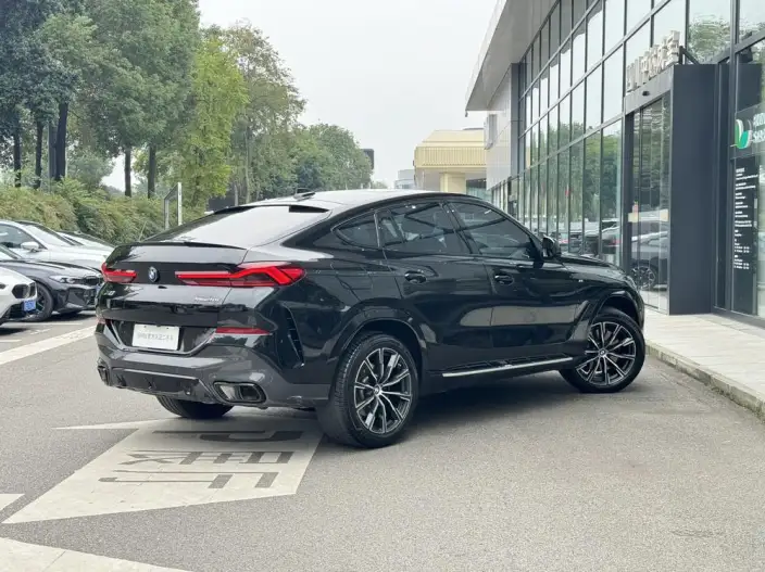 BMW X6 2022 Model Facelift xDrive30i M Sports Set – фото 6