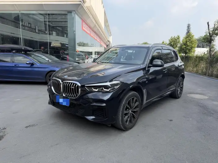 BMW X5 2022 Model xDrive 30Li M Sports Set – фото 1