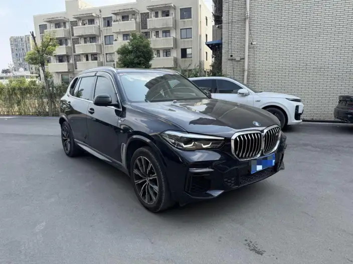 BMW X5 2022 Model xDrive 30Li M Sports Set – фото 3