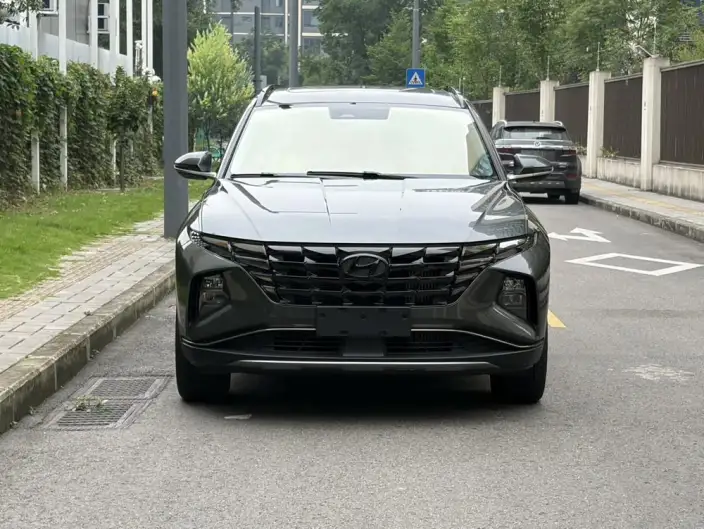 Hyundai Tucson 2023 Model Hyundai Tucson L 1.5T LUX 2WD Premium Edition