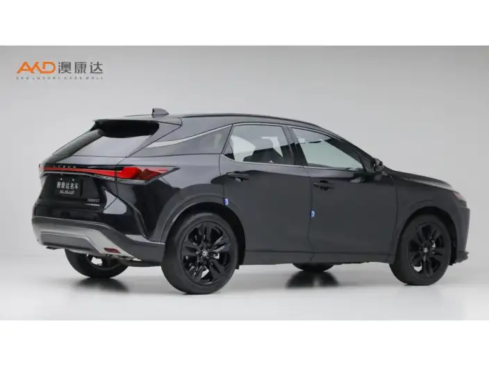 Lexus RX 2026 Model 300 4WD Black Edition
