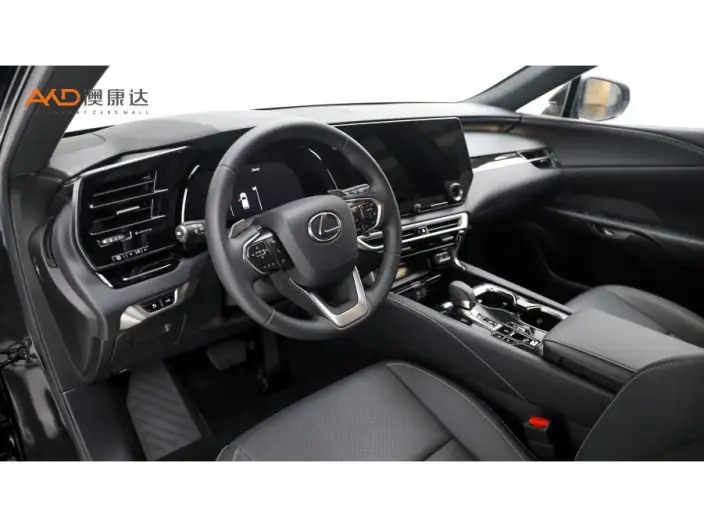 Lexus RX 2026 Model 300 4WD Black Edition – фото 6