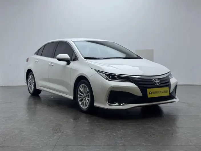 Asia Lion 2021 Model 2.0L Enterprising Edition – фото 3