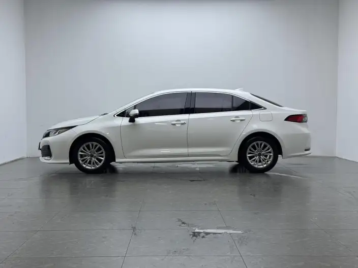 Asia Lion 2021 Model 2.0L Enterprising Edition – фото 4
