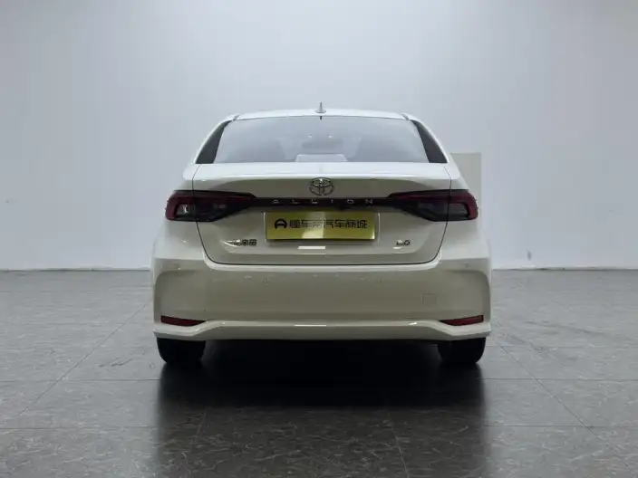 Asia Lion 2021 Model 2.0L Enterprising Edition – фото 6