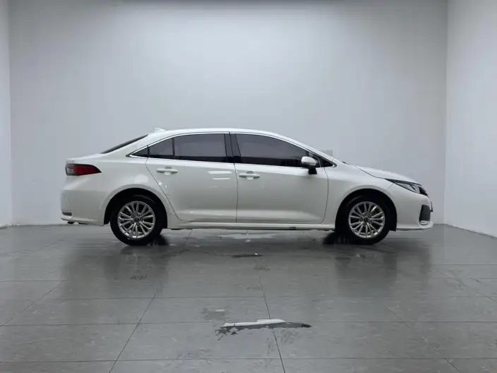 Asia Lion 2021 Model 2.0L Enterprising Edition – фото 8