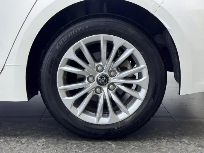 Asia Lion 2021 Model 2.0L Enterprising Edition – фото 9