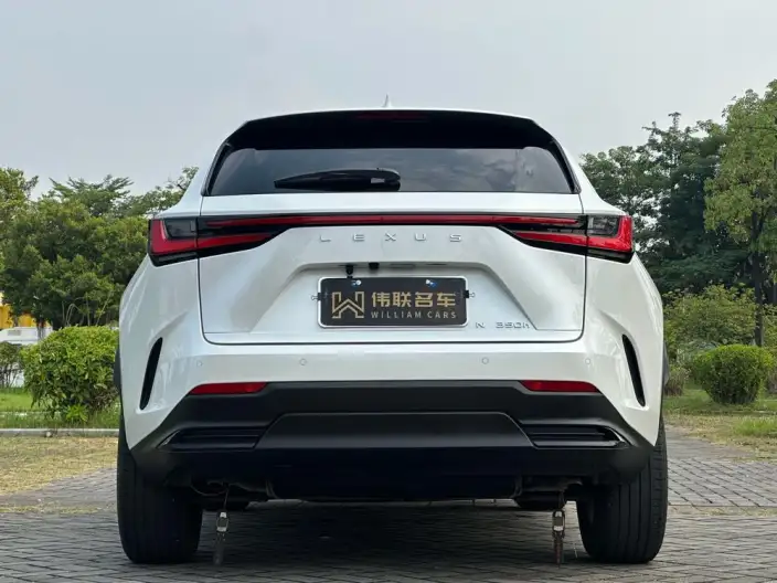 Lexus NX 2024 Model 350h Qian Drive Innovation Drive Edition – фото 5