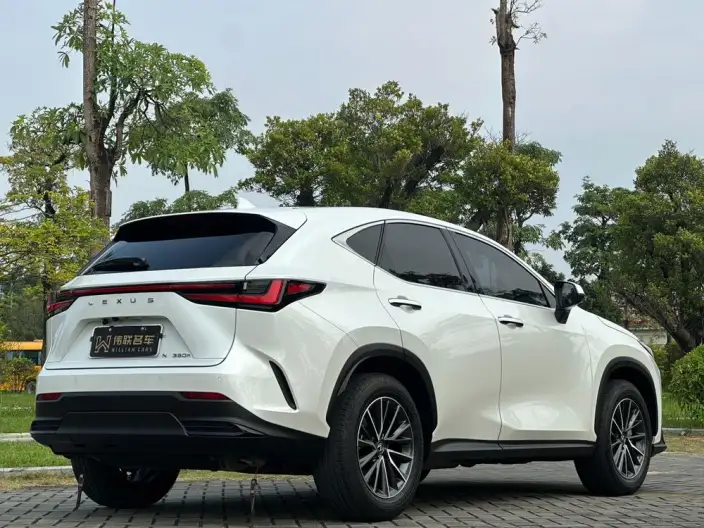 Lexus NX 2024 Model 350h Qian Drive Innovation Drive Edition – фото 6