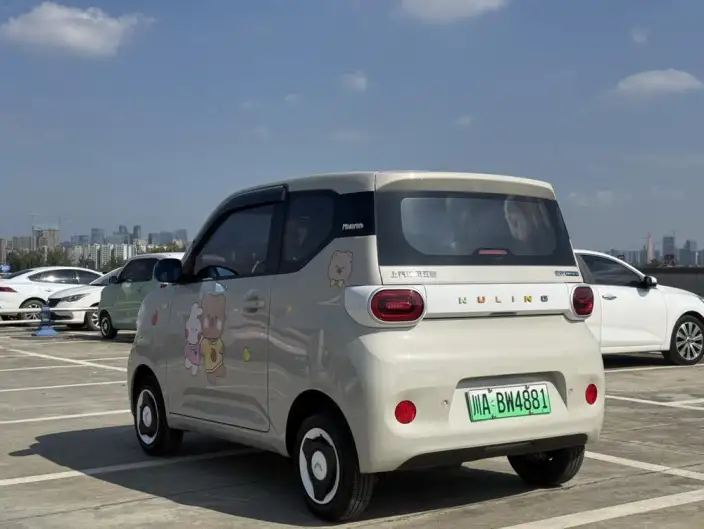Wuling Hongguang MINIEV 2024 Model 215km Youth Edition Lithium Iron Phosphate