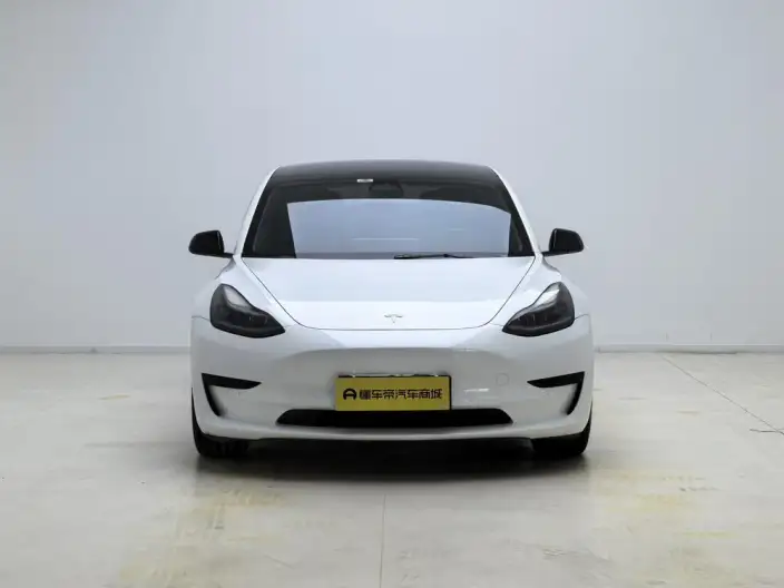 Model 3 2022 Model Rear-wheel drive version – фото 2