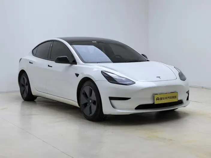 Model 3 2022 Model Rear-wheel drive version – фото 3