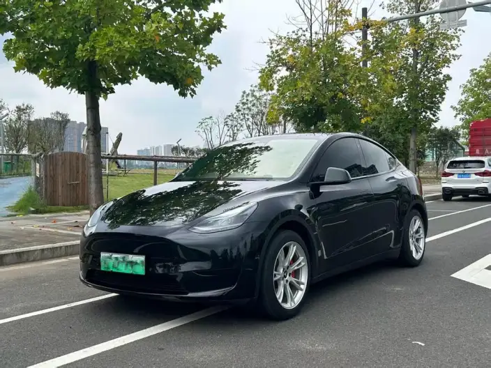 Model Y 2022 Model Rear-wheel drive version – фото 1