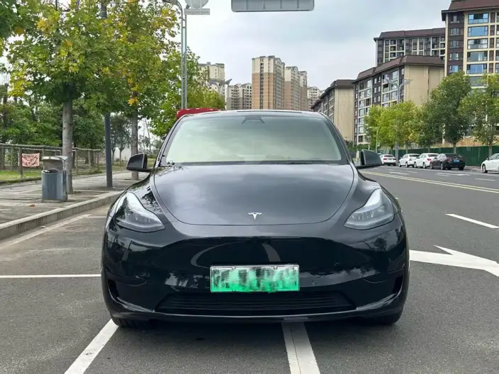 Model Y 2022 Model Rear-wheel drive version – фото 2