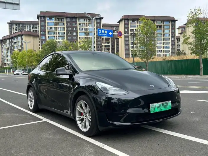 Model Y 2022 Model Rear-wheel drive version – фото 3