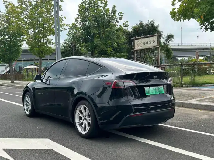 Model Y 2022 Model Rear-wheel drive version – фото 4