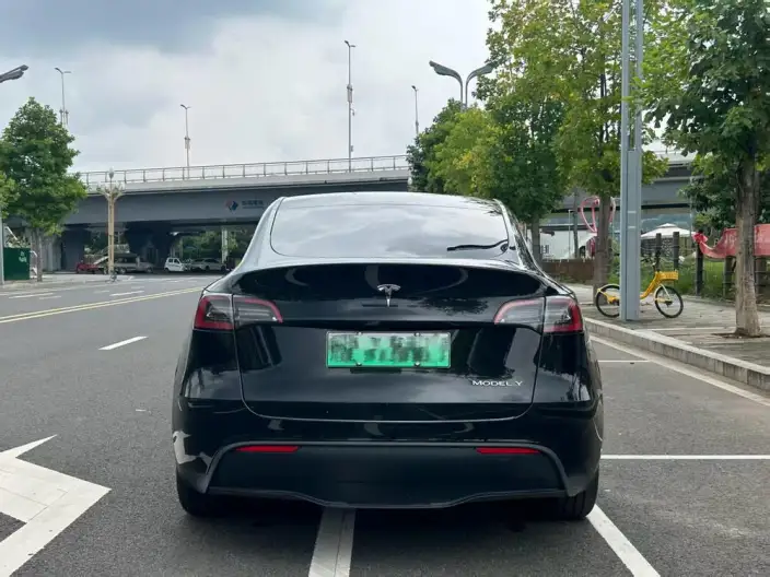 Model Y 2022 Model Rear-wheel drive version – фото 5