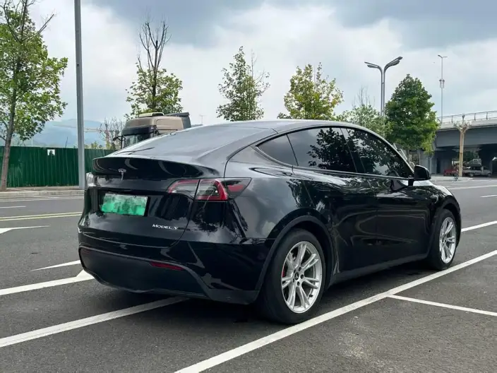 Model Y 2022 Model Rear-wheel drive version – фото 6