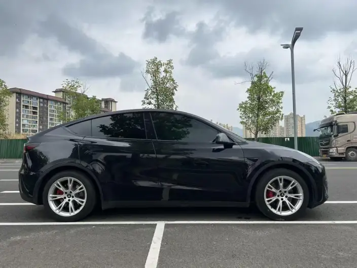 Model Y 2022 Model Rear-wheel drive version – фото 7