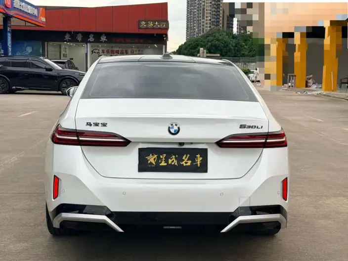BMW 5 Series 2024 Model 525Li M Sports Set – фото 5