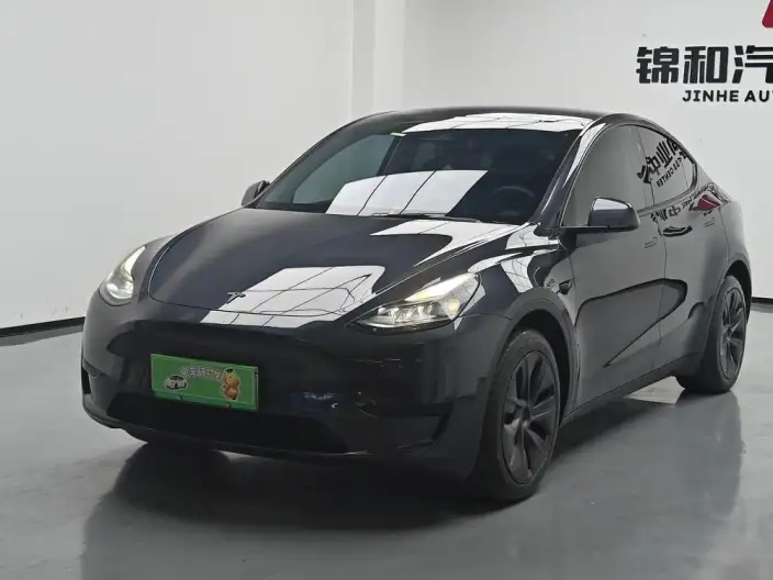 Model Y 2024 Model Rear-wheel drive version – фото 1