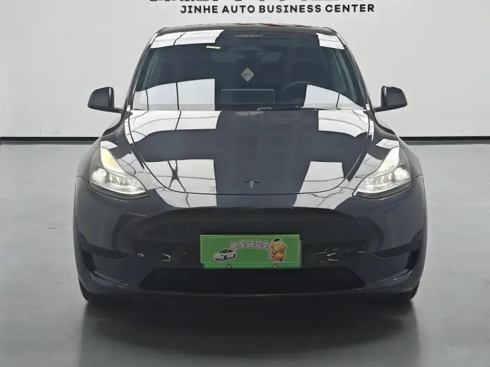 Model Y 2024 Model Rear-wheel drive version – фото 2