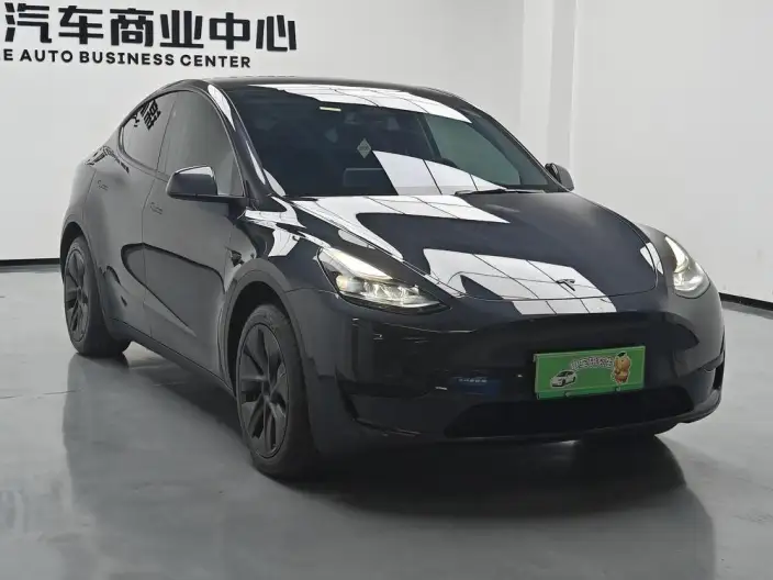 Model Y 2024 Model Rear-wheel drive version – фото 3