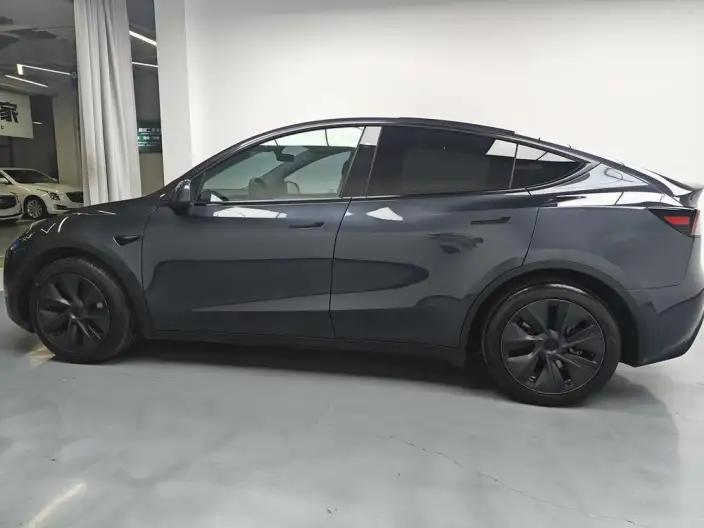 Model Y 2024 Model Rear-wheel drive version – фото 4