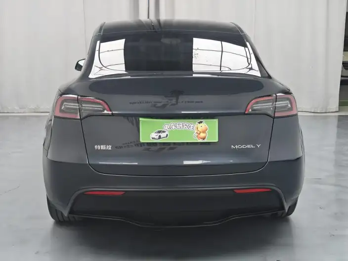 Model Y 2024 Model Rear-wheel drive version – фото 6