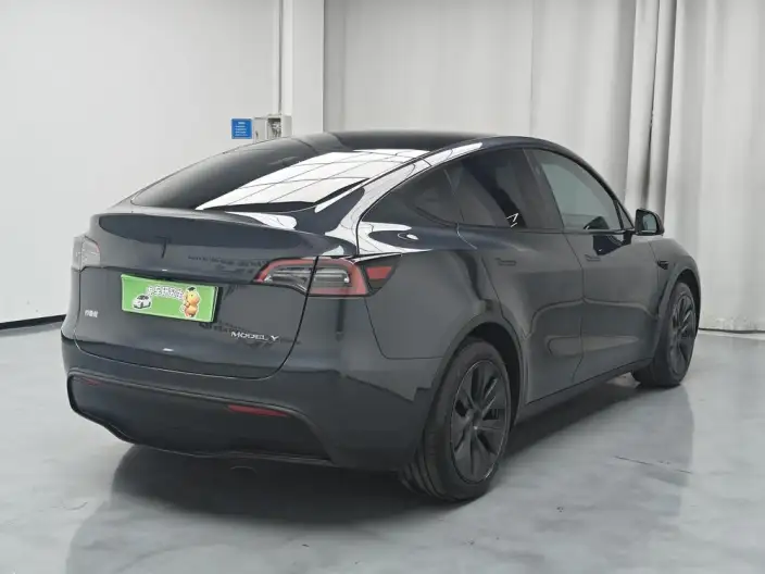Model Y 2024 Model Rear-wheel drive version – фото 7