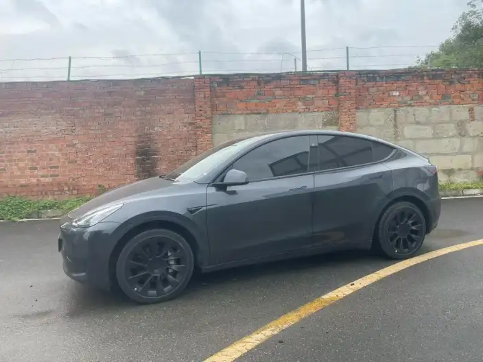 Model Y 2024 Model Rear-wheel drive version – фото 1