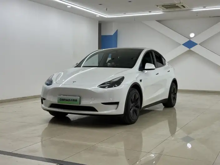 Model Y 2024 Model Rear-wheel drive version – фото 1