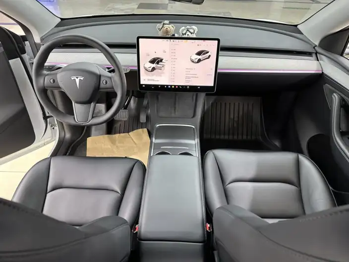 Model Y 2024 Model Rear-wheel drive version – фото 10