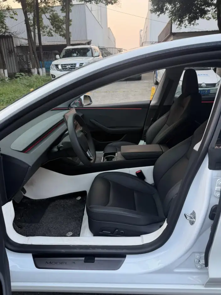 Model 3 2025 Model Long Battery Life Pro Rear-wheel drive version – фото 10