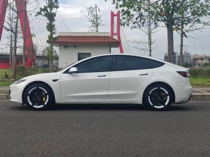 Model 3 2025 Model Facelift Rear-wheel drive version – фото 3