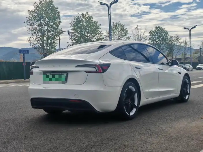 Model 3 2025 Model Facelift Rear-wheel drive version – фото 6